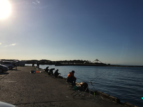 静岡・御前崎港など、「釣り文化振興港」追加指定