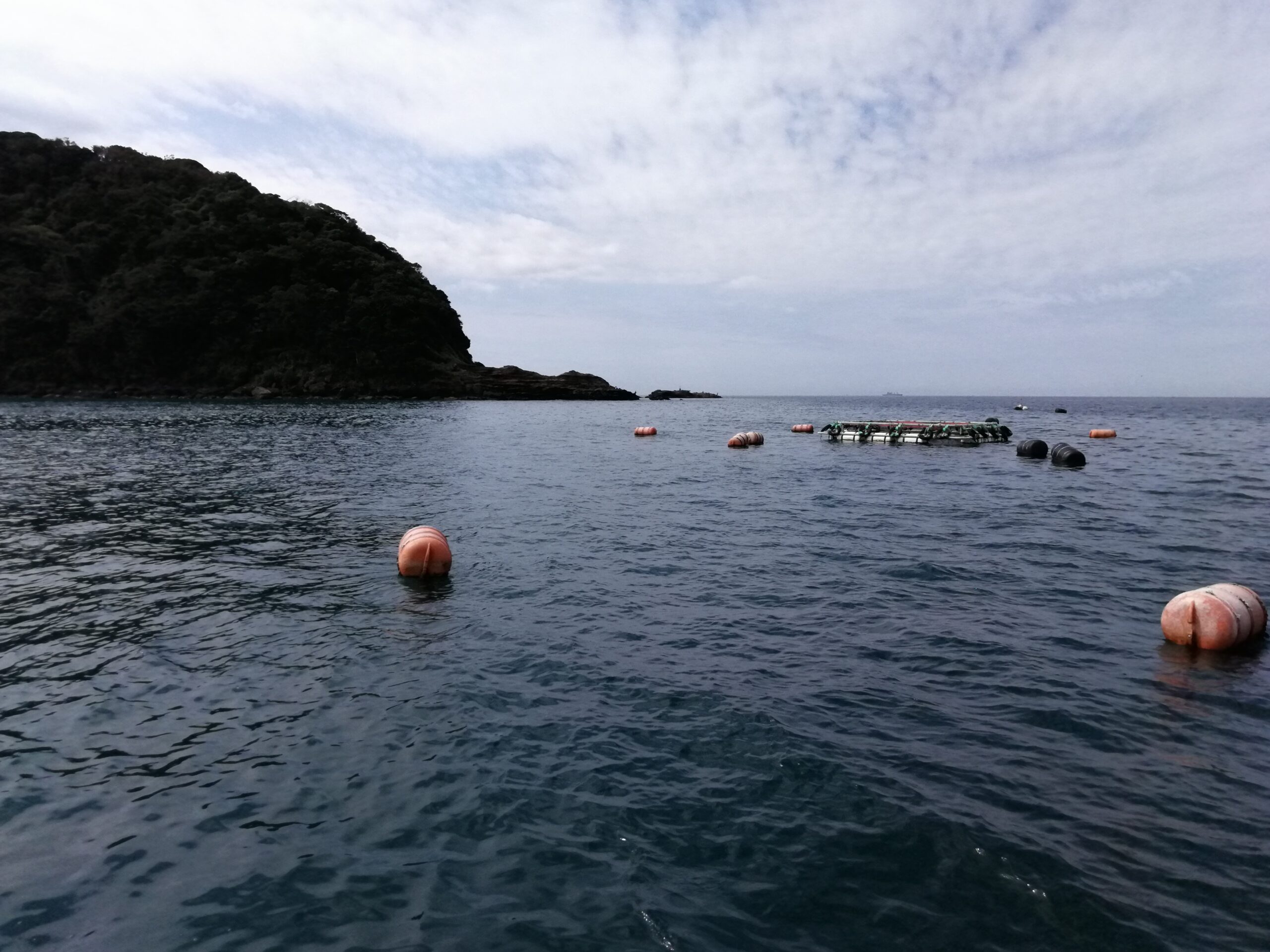 反省会場 人 人 人の富浦釣り筏その２ー千葉 内房