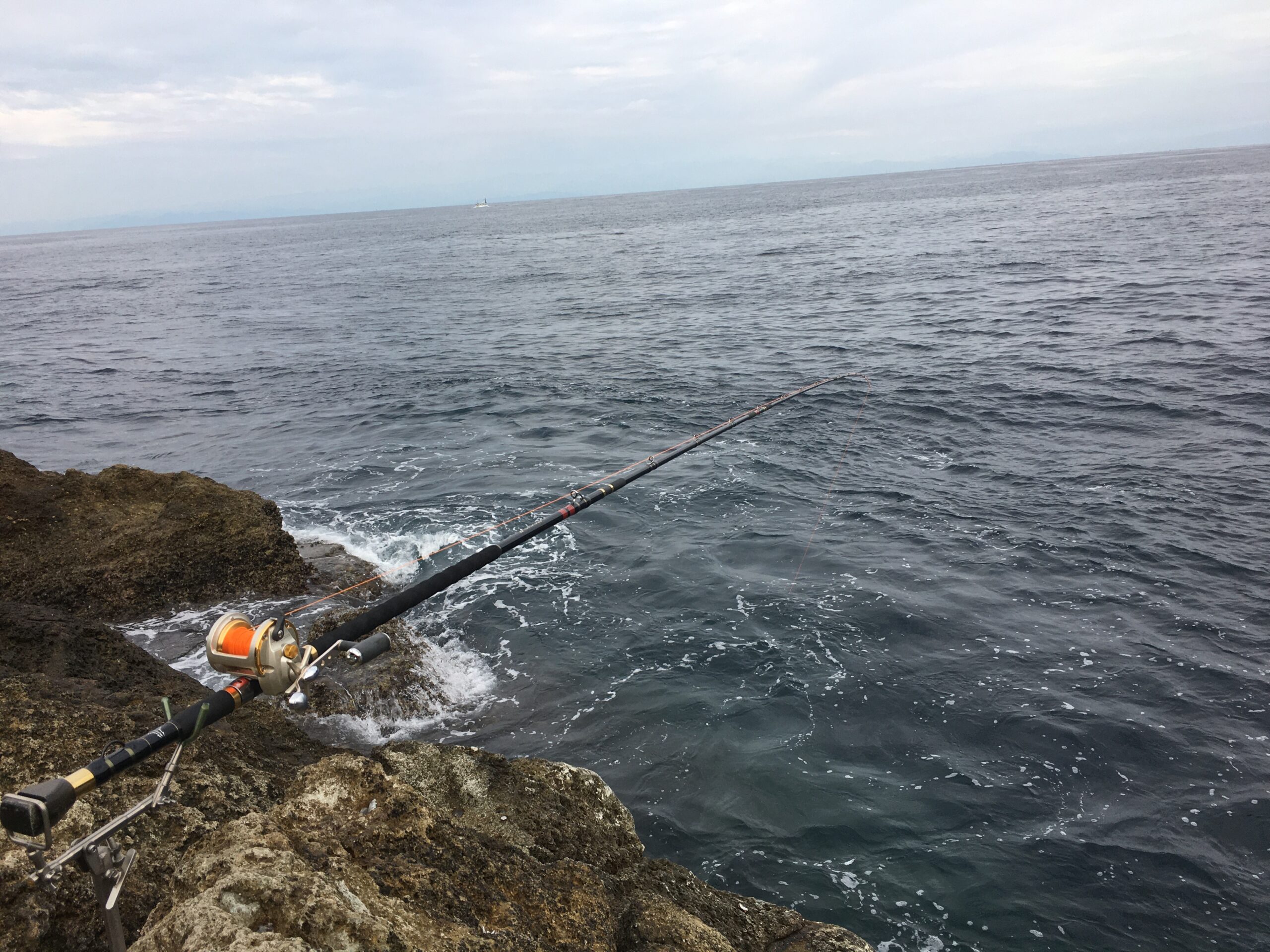 南伊豆 伊浜 丸島 にて底物釣り その１